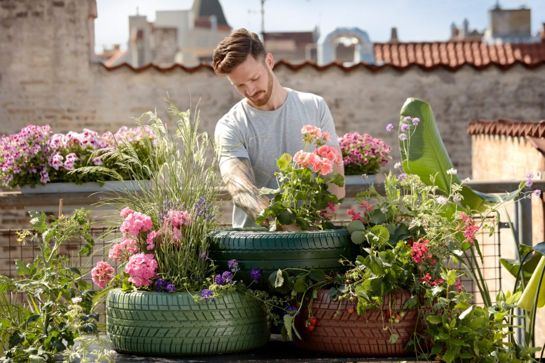 Plants To Your Space