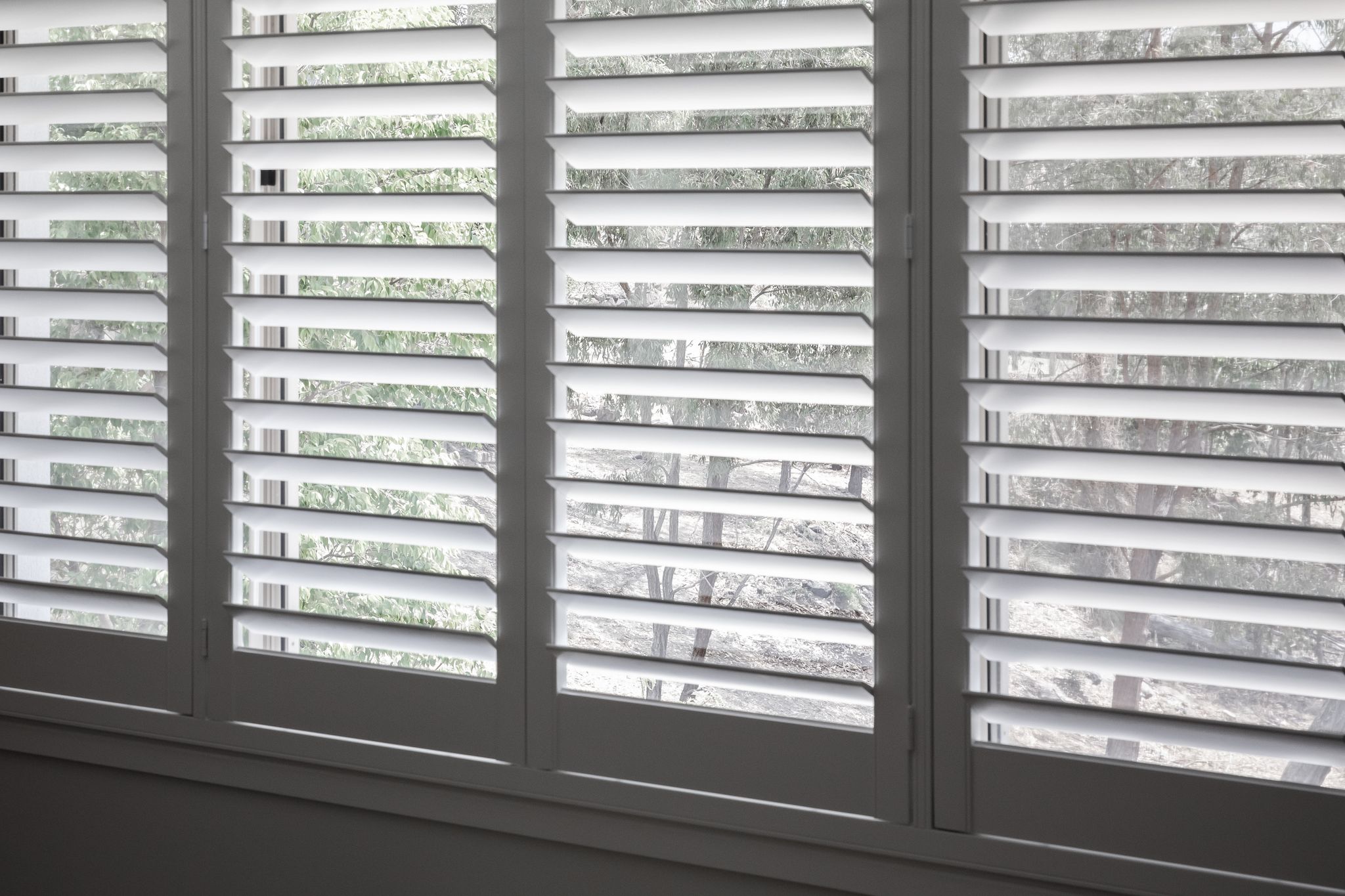 Window Shutters